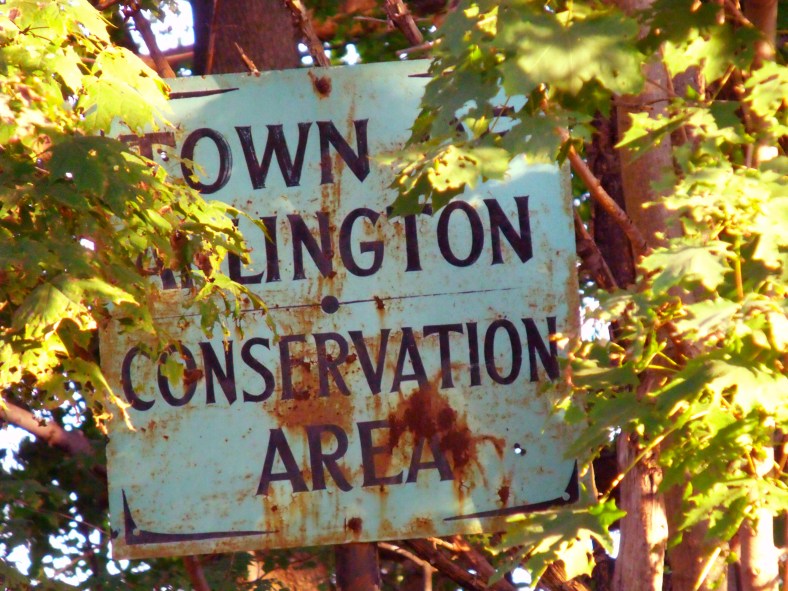 Conservation Area