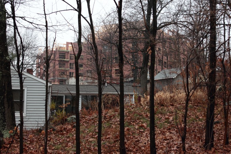 A view of the project at the former Symmes site through the trees from Woodside Lane.December 8, 2012.