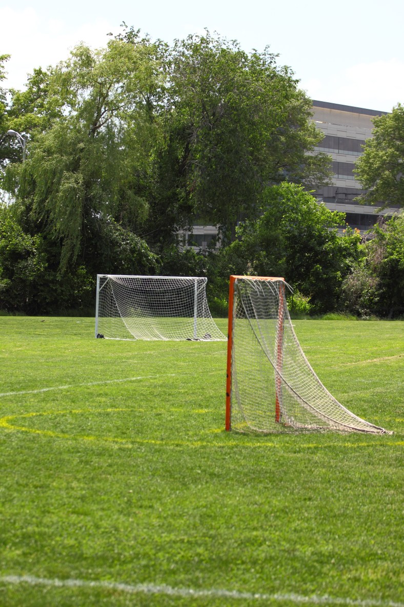 A lacrosse and soccer net on Thorndike Field in East Arlington.May 31, 2012.