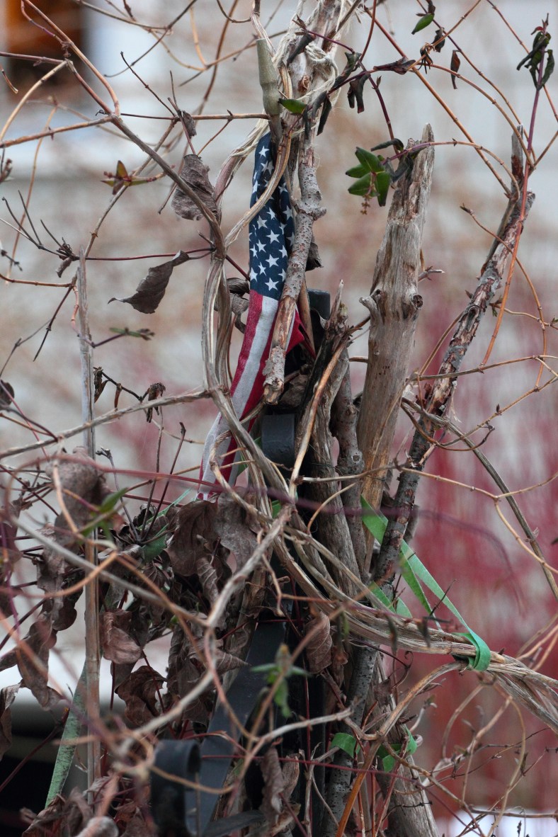 Climbing vines surround a small flag in the front yard of  Millett Street home.February 25, 2013.
