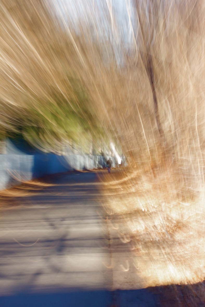 A man walks down the Minuteman Bikeway on an unseasonably warm winter's day.January 24, 2012.