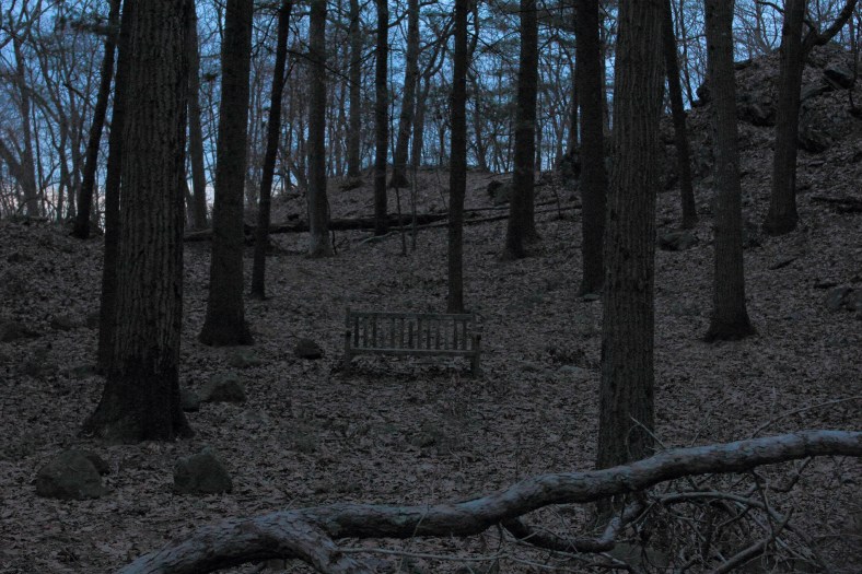 A bench in Menotomy Rocks Park at twilight.February 2, 2013,