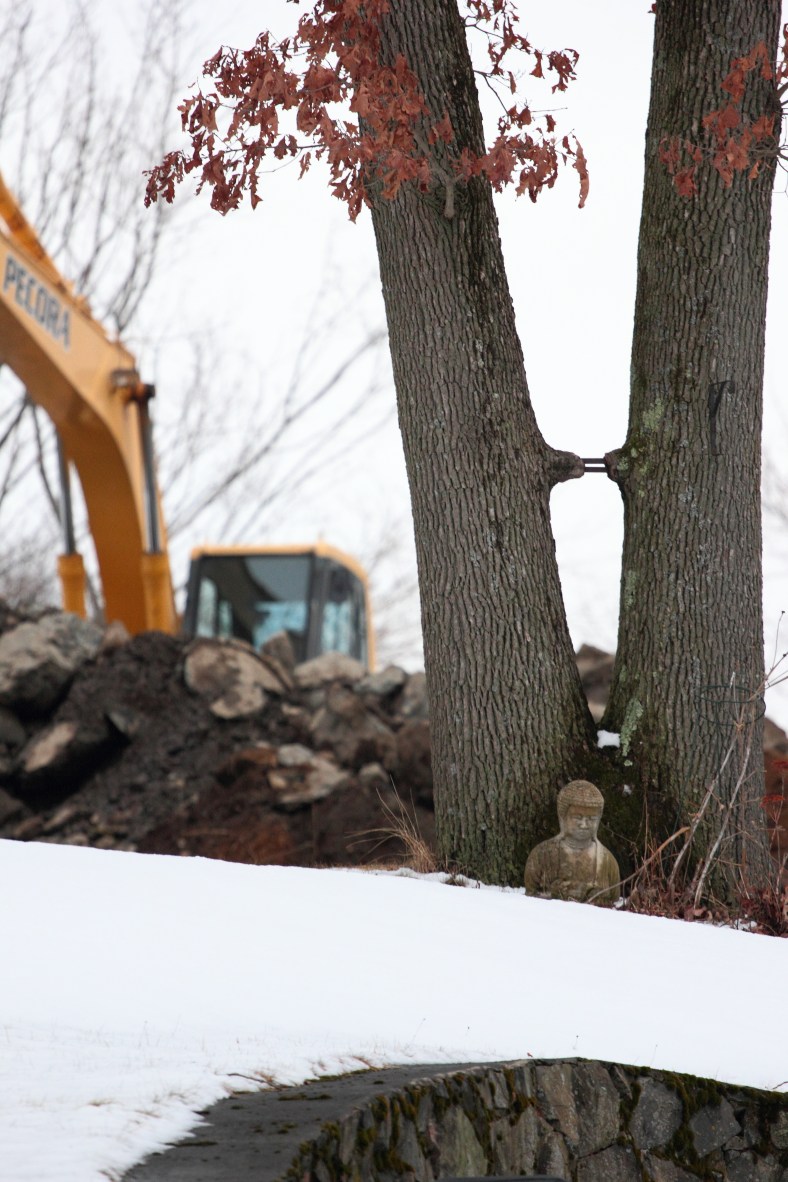 Construction equipment on a home site behind a Lansdowne Road property where a statue of Buddha sits peacefully in the backyard.