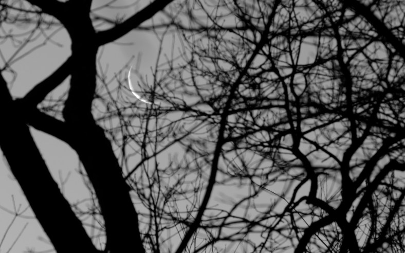 A waning crescent moon over Arlington.December 22, 2011.