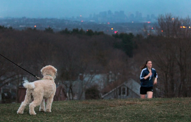 A dog watches intently as a young woman emerges up the hill at Skyline Park while doing her exercise routine. April 9, 2013.