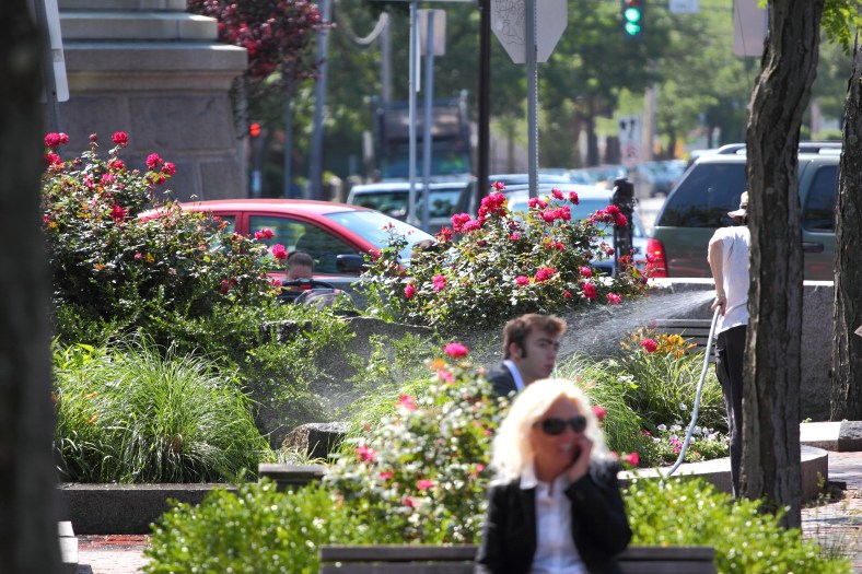 A woman tends to the flowers in one of the stone planters in Arlington Center. June 16, 2012.