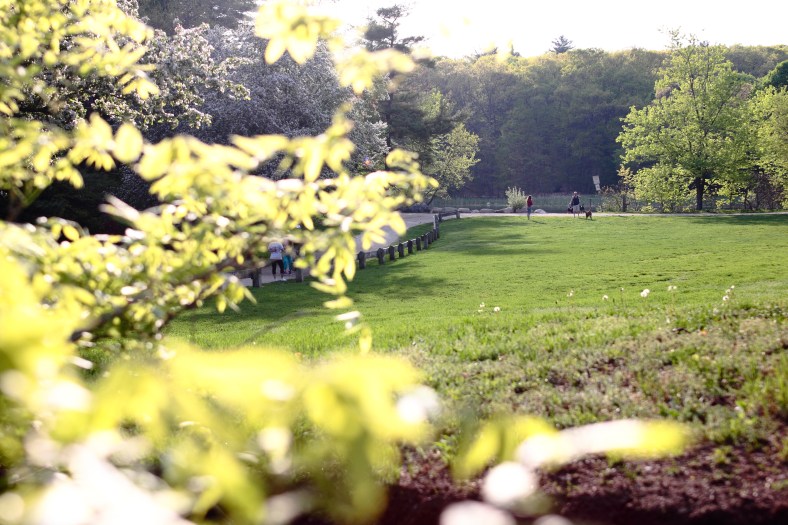 A view of Menotomy Rocks Park from Jason Street. May 10, 2013.