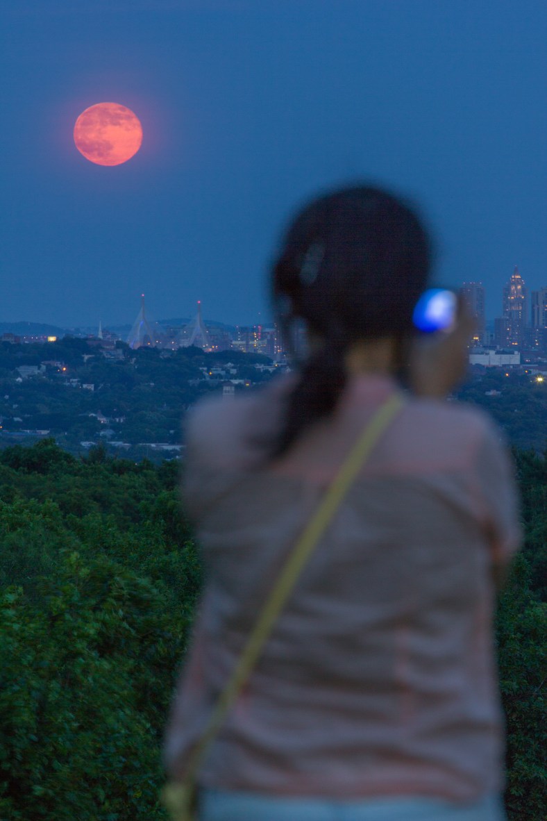 A woman at Skyline Park takes a picture of supermoon rising over Boston on the horizon. June 23, 2013.