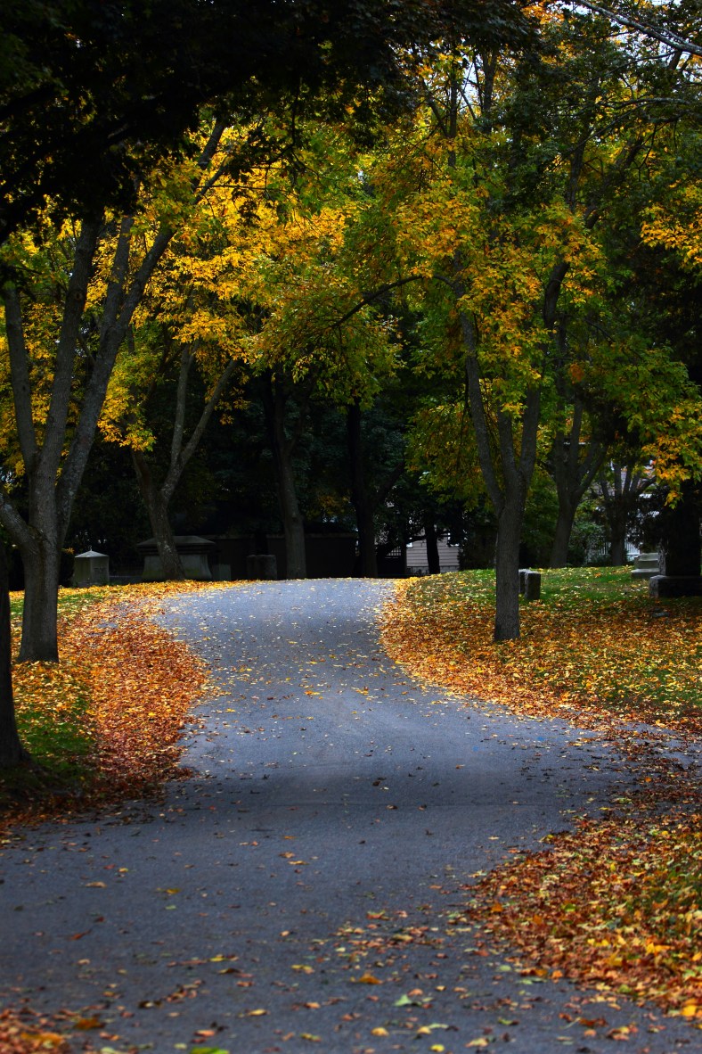 A leaf lined road in Mount Pleasant Cemetery. October 09, 2012.