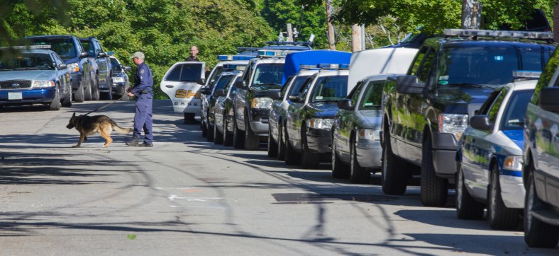 K9 units from police departments all over eastern Massachusetts (and one from New Hampshire) ran training exercises at Stratton School. July 30, 2013.