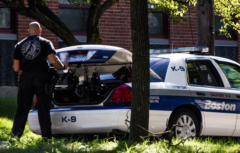 A Boston Police K9 unit officer gets supplies from the trunk of his cruiser during training exercises taking place in Stratton School. July 30, 2013.