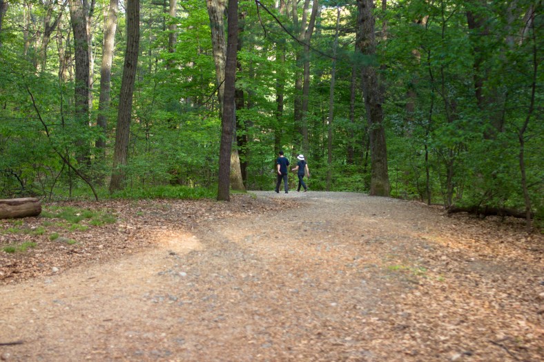 A couple out for a walk in Menotomy Rocks Park. May 10, 2013.