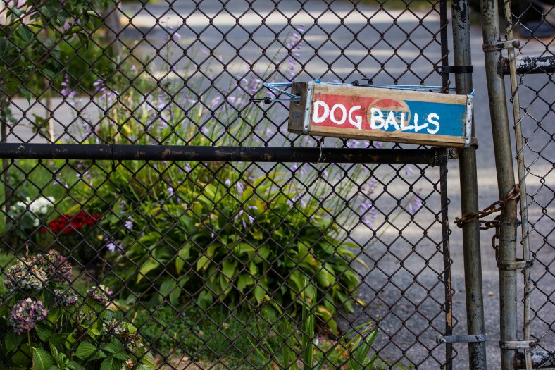 An old Pepsi crate repurposed as a dog ball repository at Spy Pond Field. September 12, 2013.