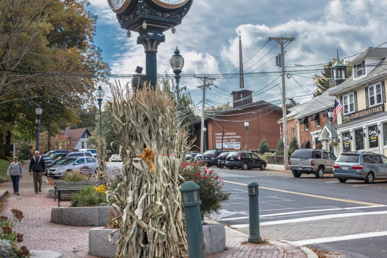 Dried cornstalks decorate posts in Arlington Heights. October 22, 2013.