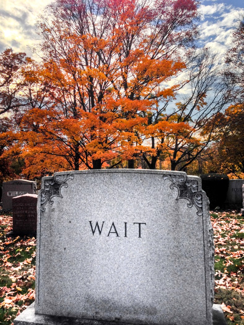 A gravestone in Mount Pleasant Cemetery. November 2, 2013.
