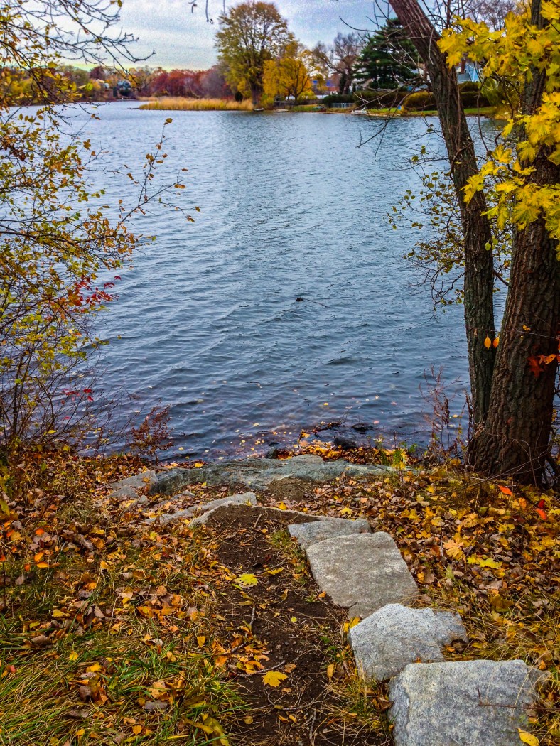Stones stacked as steps set into the bank of Spy Pond along the walkway adjacent Route 2. November 12, 2013.