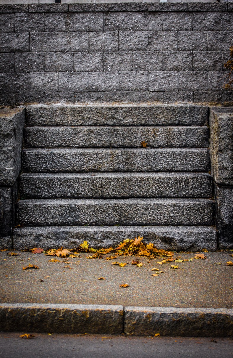 Steps leading up to a retaining wall on Brattle Street. November 15, 2013.