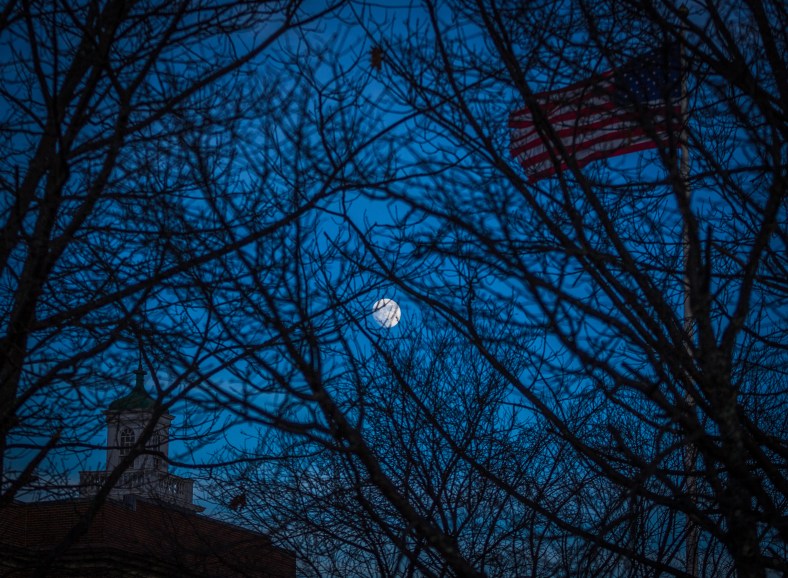 The Moon seen through the tree in front of Arlington High School. January 13, 2014.