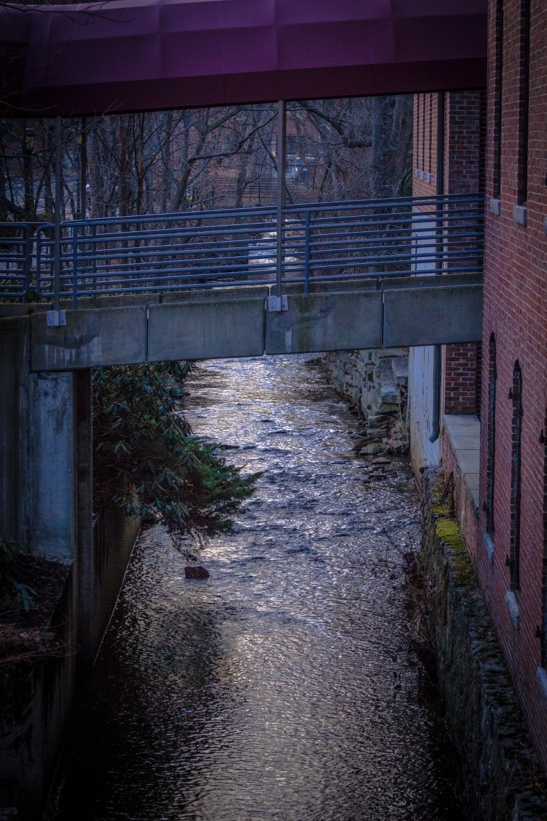 Mill Brook flows under the covered walkway to that leads to the Mill Street Professional Building. January 13, 2014.