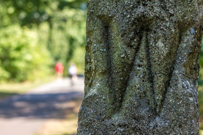 On old post, presumably a relic of the railroad days, along a stretch of the Minuteman Bikeway behind Arlington High School. September 11, 2013.