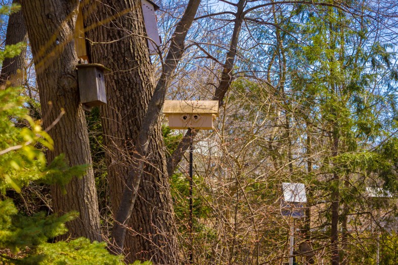 Some of the many birdhouses in the yard of a Stone Road home. April 12, 2014.