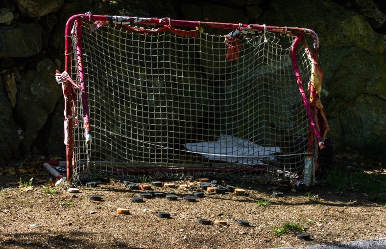 A plethora of pucks to shoot and a well-used practice net on Stone Road. May 12, 2014.