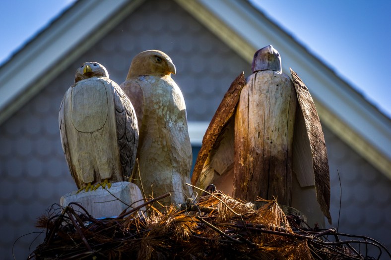Three carved wooden birds perch atop the trunk of a damaged tree-turned sculpture in Waldo Park. June 20, 2014.