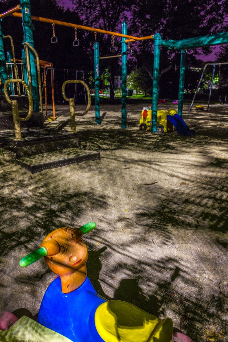 A toy left overnight at the Magnolia Field playground.. August 25, 2014.