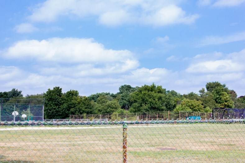 Poets' Corner field on a hot summer day. August 31, 2014.