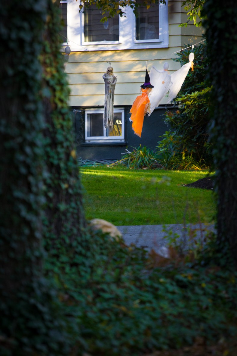 Halloween decorations in the yard of a Pheasant Avenue home. October 17, 2014.