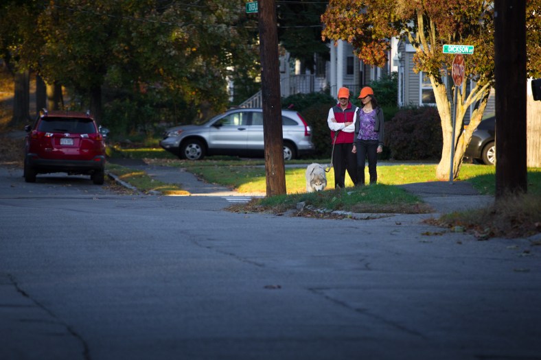 A couple in matching, visibility-boosting hats stop briefly with as their dog takes an interest in something along Overlook Road. October 17, 2014.