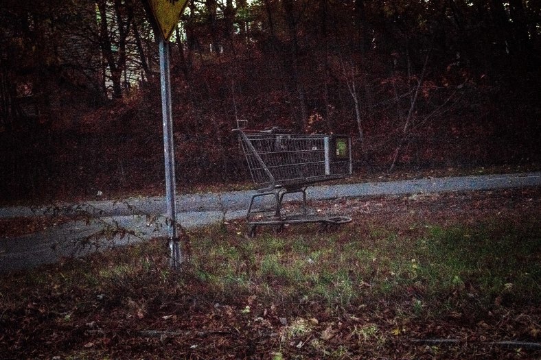 An abandoned shopping cart next to the Minuteman Bikeway. November 10, 2014.
