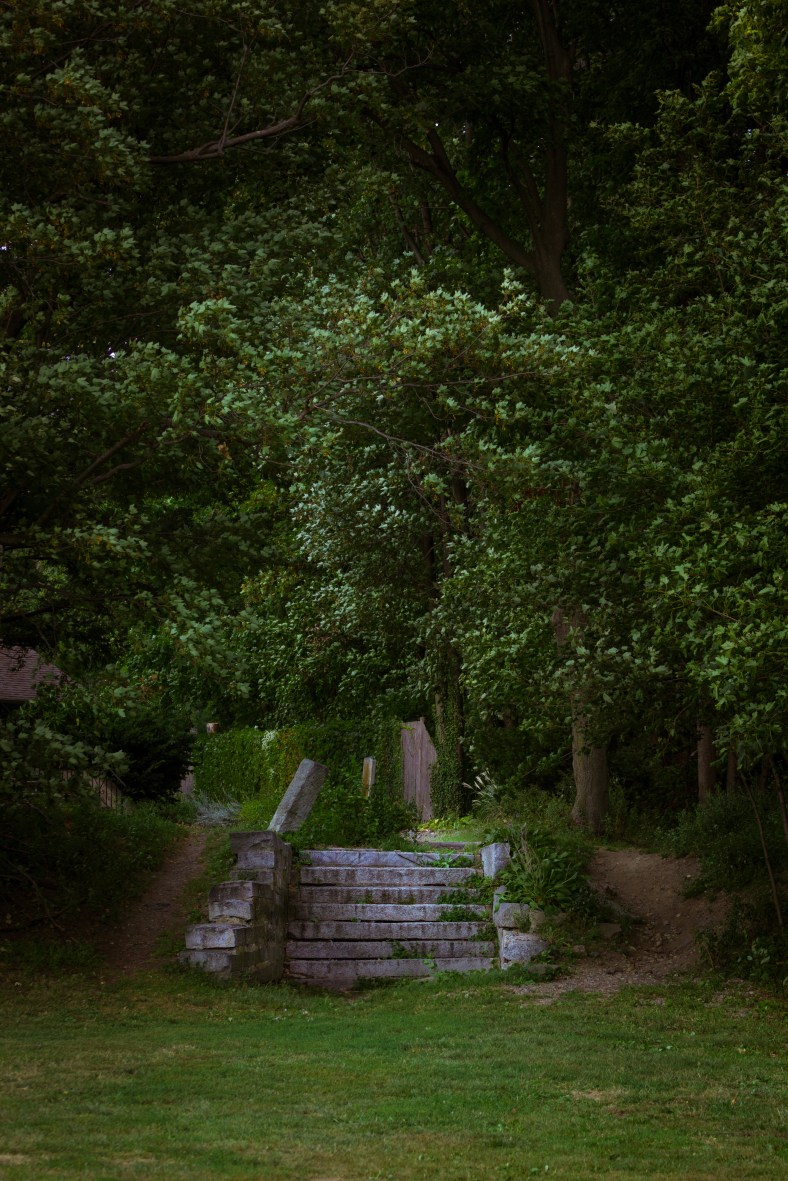 Steps, perhaps a relic of the railroad, in the corner of Spy Pond field. September 12, 2013.