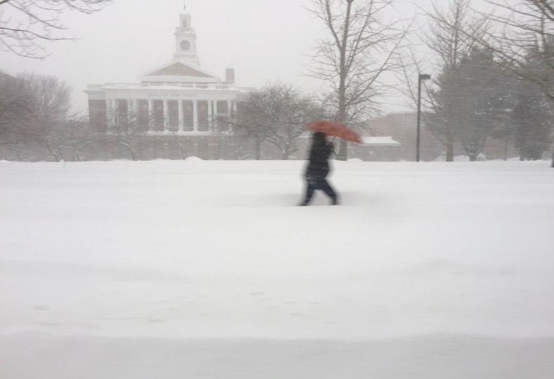 A person walks past Arlington High School trying to shield themselves from the blowing snow with an umbrella. February 2, 2015.