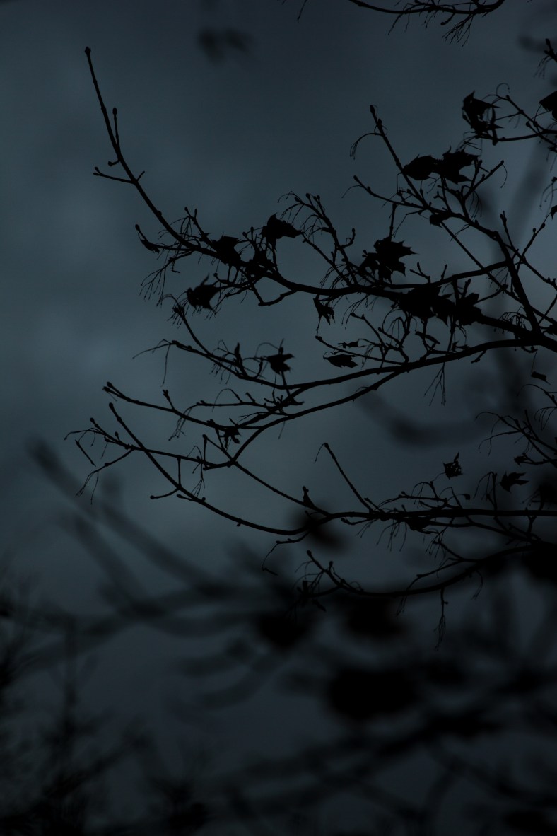 Dark clouds and high winds after a storm created this scene of late November. November 24, 2014.