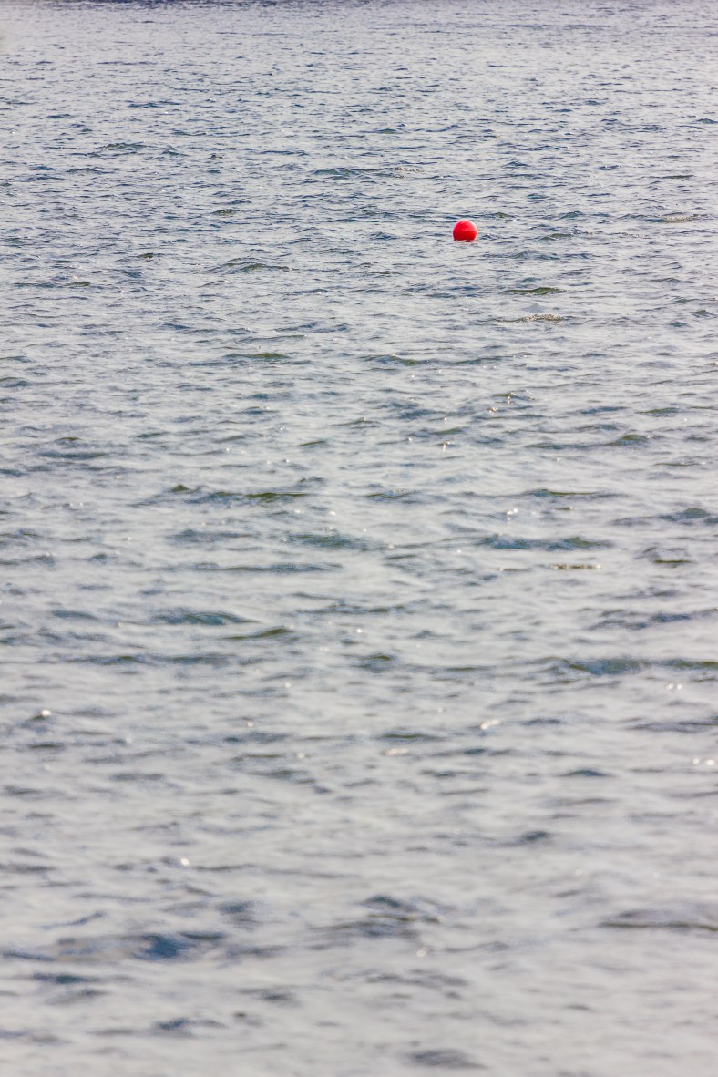 A bouy on Spy Pond. September 12, 2013.