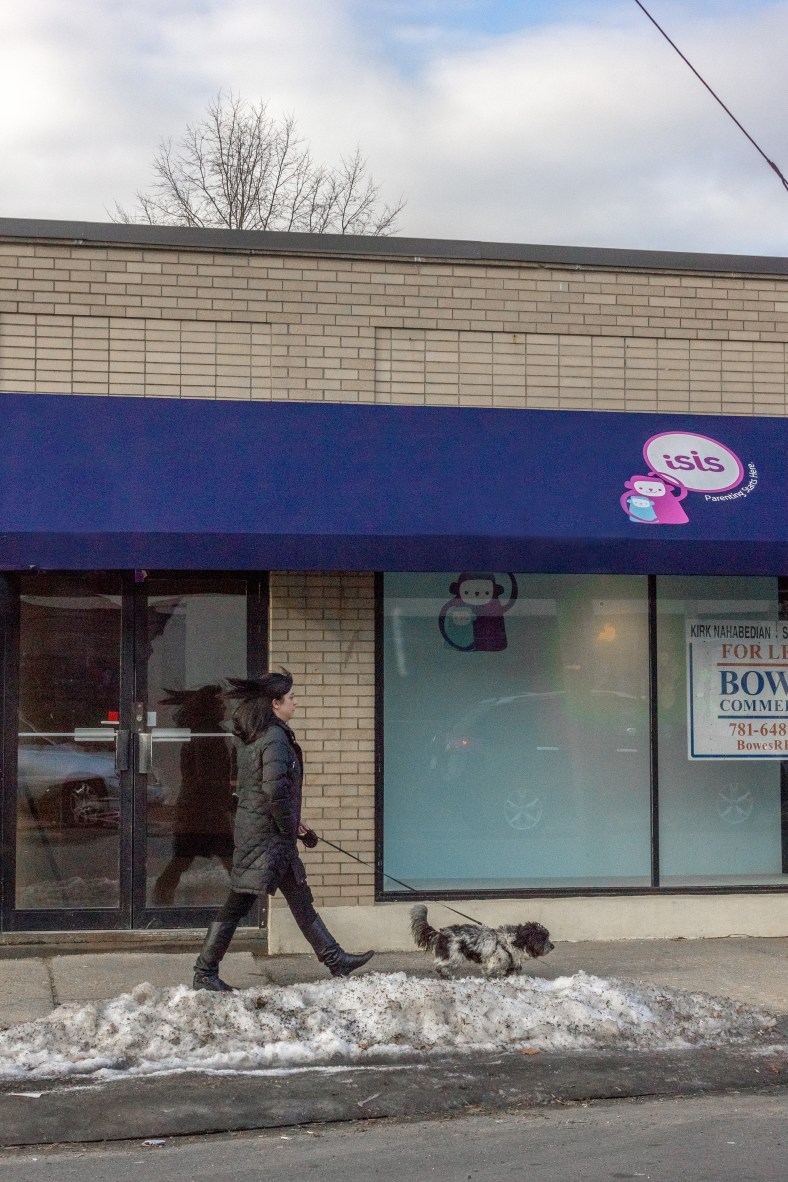 A woman walks her dog along Broadway in Arlington Center. March 21, 2014.