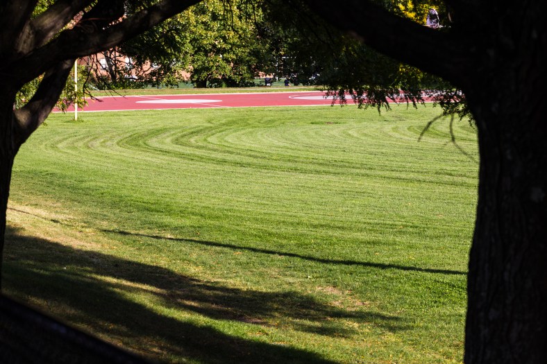 Mowing patterns on Buzzell Field. October 03, 2013.