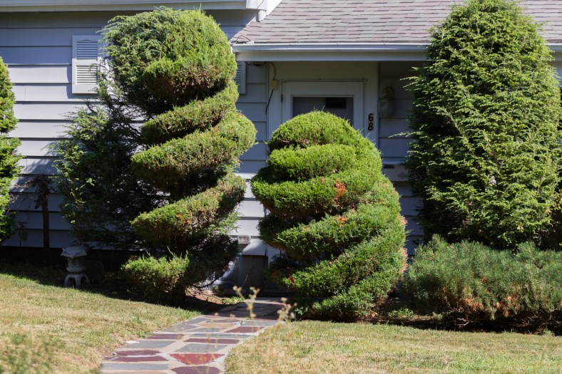Topiaries flank the entrance of a Dickson Avenue residence. August 05, 2015.