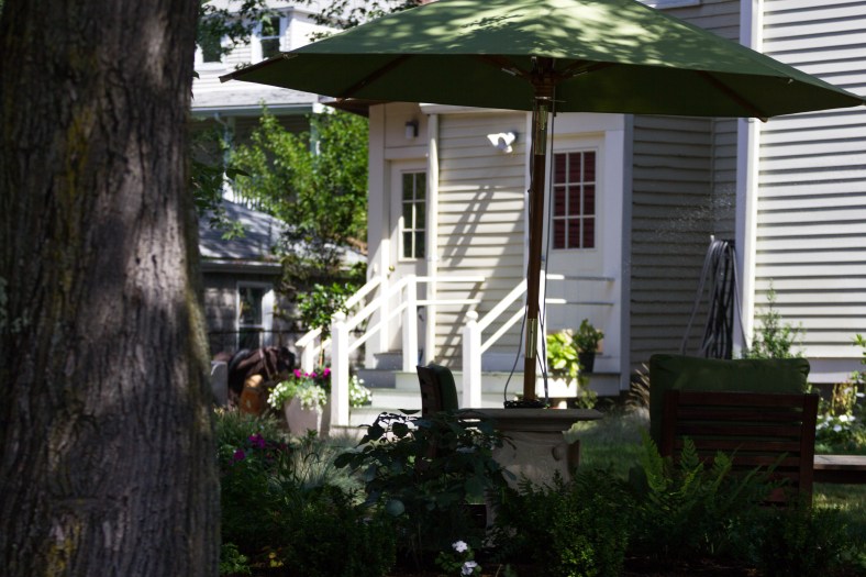 A shady spot to enjoy a summer afternoon on Franklin Street. August 29, 2015.