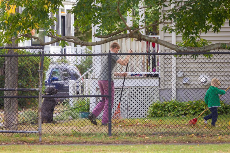 Father and son raking up leaves in their Pond Terrace yard. October 04, 2015.