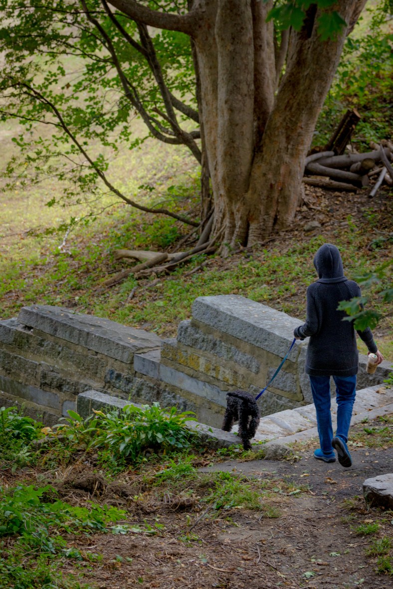 A woman walks her dog to Spy Pond field. October 04, 2015.