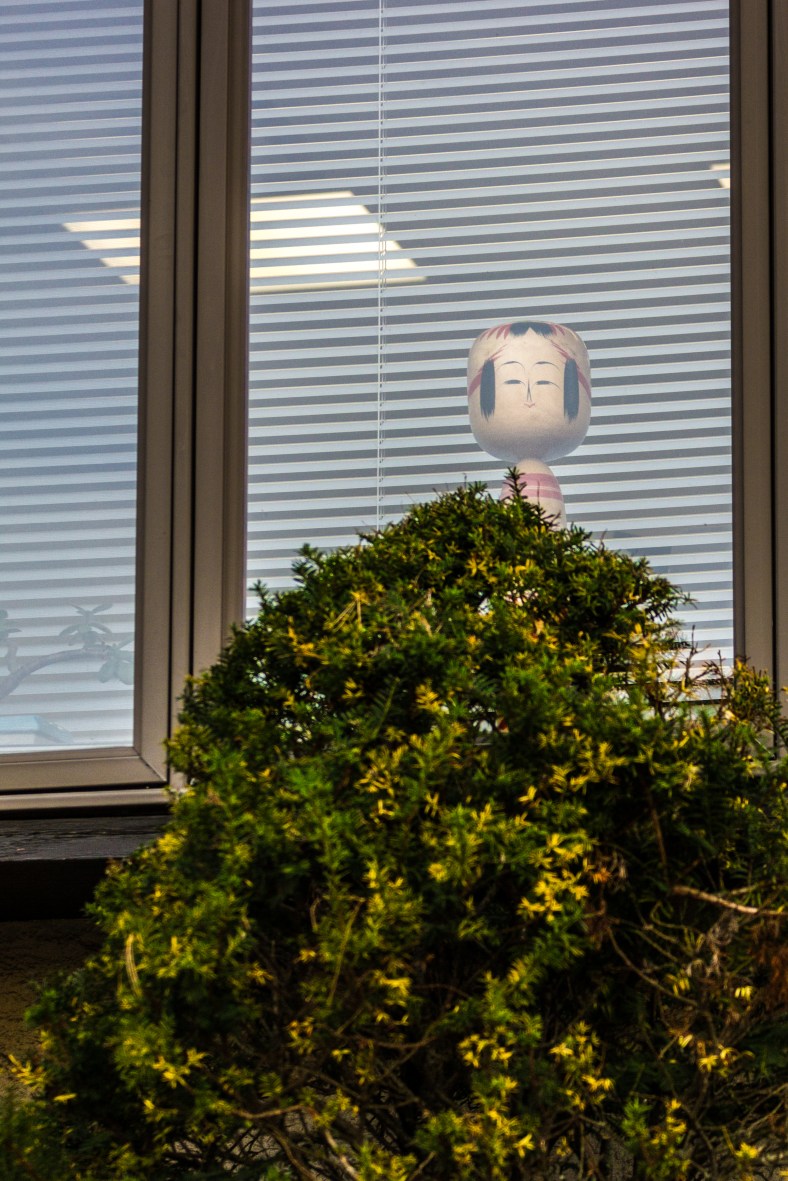 A doll in the window of the Japanese-American Association of Greater Boston on Massachusetts Avenue. November 15, 2013.