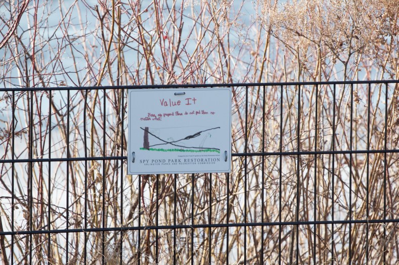A sign warning people off feeding the geese around Spy Pond created by school children from the Hardy Elementary School. January 24, 2012.