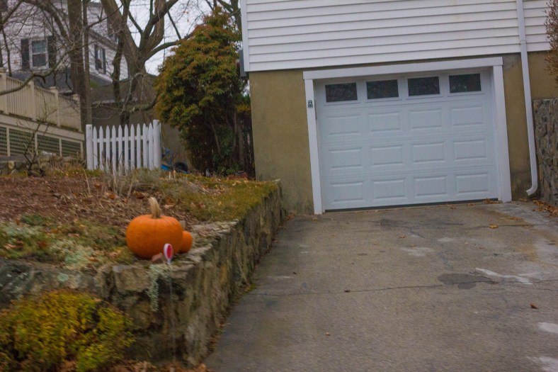 Pumpkins out, and still looking fresh, in front of  a Kensington Park home. December 14, 2015