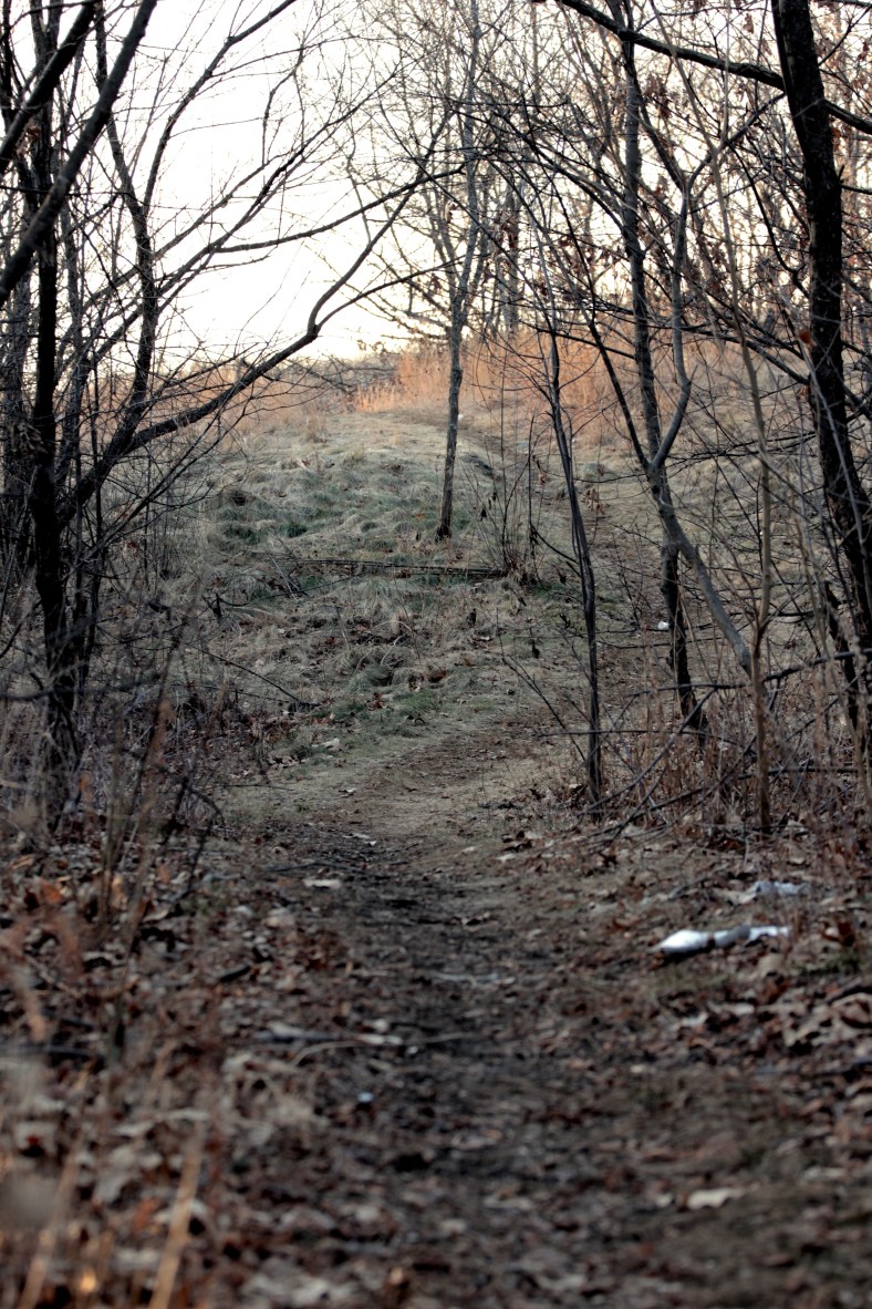 hills hill feb 1 2012