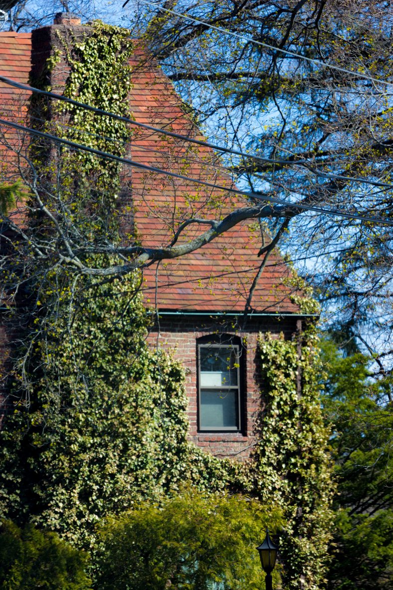 IMG_1736 April 17, 2016